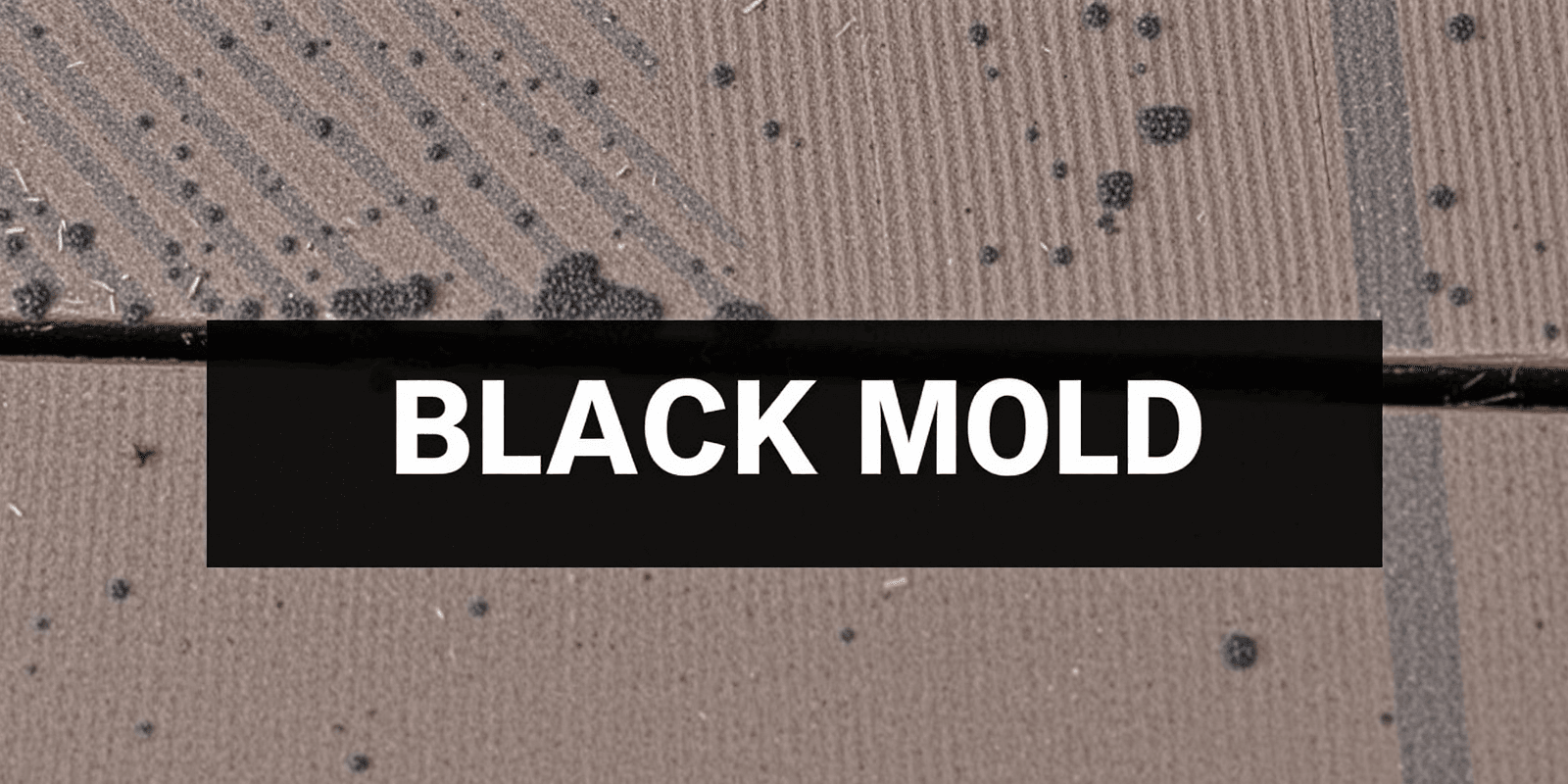 Combatting Black Mold: A Comprehensive Guide for Composite Decks